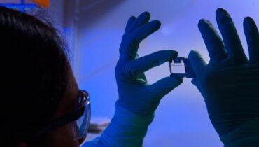 public health scientist, holding up a glass slide used for a run on a sequencing machine